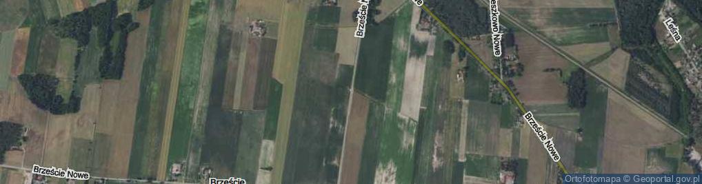 Zdjęcie satelitarne Brzeście Nowe ul.